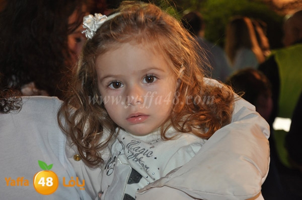 tree milad shajara (26).JPG